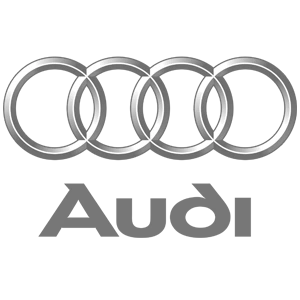 audi-optimized